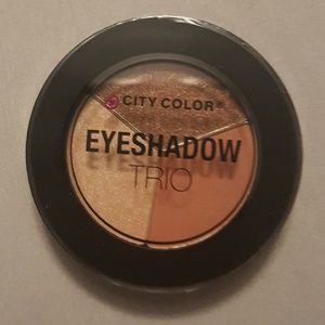 City Color Eyeshadow Falling Leaves